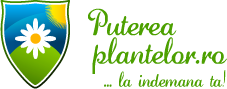 Puterea Plantelor